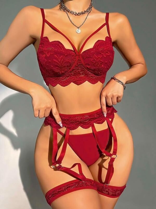Transparan Bordo Dantel İşlemeli Sütyenli Jartiyer Takımı